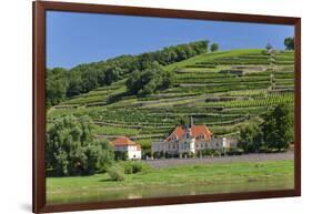 Europe, Germany, Saxony, Elbtal, Meissen, Wine Slopes on the Elbe-Chris Seba-Framed Photographic Print