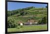 Europe, Germany, Saxony, Elbtal, Meissen, Wine Slopes on the Elbe-Chris Seba-Framed Photographic Print