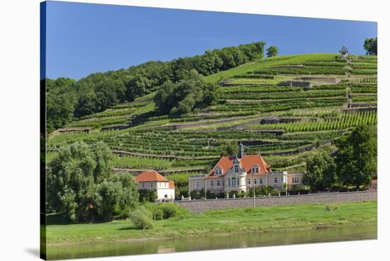 Europe, Germany, Saxony, Elbtal, Meissen, Wine Slopes on the Elbe-Chris Seba-Stretched Canvas