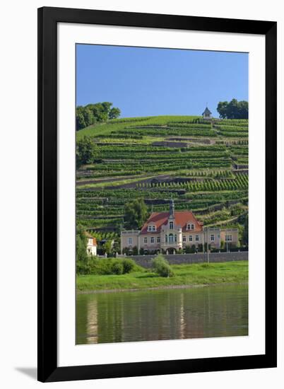 Europe, Germany, Saxony, Elbtal, Wine Slopes on the Elbe-Chris Seba-Framed Photographic Print