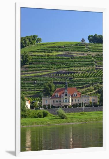 Europe, Germany, Saxony, Elbtal, Wine Slopes on the Elbe-Chris Seba-Framed Photographic Print