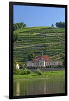 Europe, Germany, Saxony, Elbtal, Wine Slopes on the Elbe-Chris Seba-Framed Photographic Print