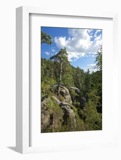 Europe, Germany, Saxony, Saxon Switzerland-Chris Seba-Framed Photographic Print