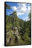 Europe, Germany, Saxony, Saxon Switzerland-Chris Seba-Framed Stretched Canvas