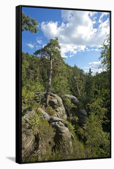 Europe, Germany, Saxony, Saxon Switzerland-Chris Seba-Framed Stretched Canvas