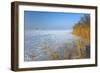 Europe, Germany, Steinhude, Steinhuder Meer, Ice Cover, Reed, Winter-Chris Seba-Framed Photographic Print