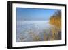 Europe, Germany, Steinhude, Steinhuder Meer, Ice Cover, Reed, Winter-Chris Seba-Framed Photographic Print