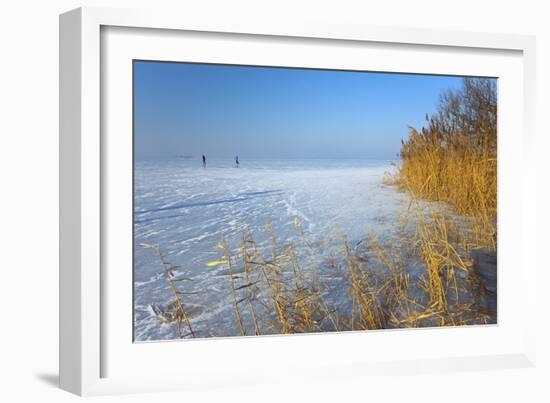 Europe, Germany, Steinhude, Steinhuder Meer, Ice Cover, Reed, Winter-Chris Seba-Framed Photographic Print