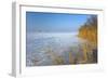 Europe, Germany, Steinhude, Steinhuder Meer, Ice Cover, Reed, Winter-Chris Seba-Framed Photographic Print