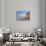 Europe, Germany, Steinhude, Steinhuder Meer, Ice Cover, Reed, Winter-Chris Seba-Stretched Canvas displayed on a wall