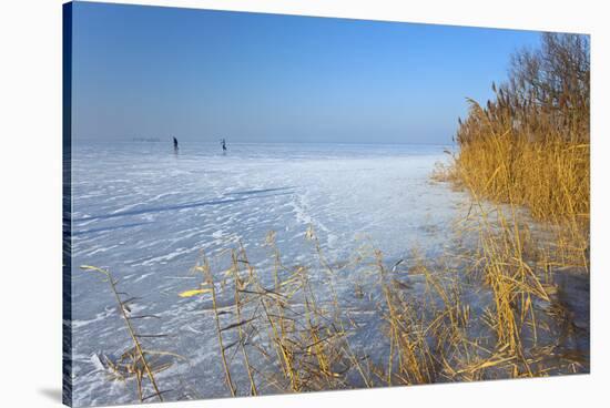 Europe, Germany, Steinhude, Steinhuder Meer, Ice Cover, Reed, Winter-Chris Seba-Stretched Canvas