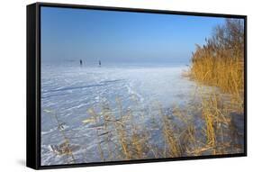 Europe, Germany, Steinhude, Steinhuder Meer, Ice Cover, Reed, Winter-Chris Seba-Framed Stretched Canvas