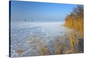 Europe, Germany, Steinhude, Steinhuder Meer, Ice Cover, Reed, Winter-Chris Seba-Stretched Canvas