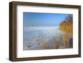 Europe, Germany, Steinhude, Steinhuder Meer, Ice Cover, Reed, Winter-Chris Seba-Framed Photographic Print