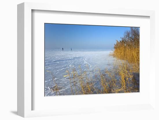 Europe, Germany, Steinhude, Steinhuder Meer, Ice Cover, Reed, Winter-Chris Seba-Framed Photographic Print