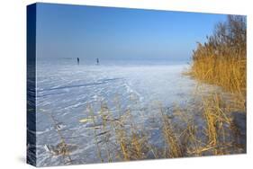 Europe, Germany, Steinhude, Steinhuder Meer, Ice Cover, Reed, Winter-Chris Seba-Stretched Canvas