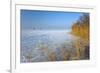 Europe, Germany, Steinhude, Steinhuder Meer, Ice Cover, Reed, Winter-Chris Seba-Framed Photographic Print