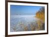 Europe, Germany, Steinhude, Steinhuder Meer, Ice Cover, Reed, Winter-Chris Seba-Framed Photographic Print