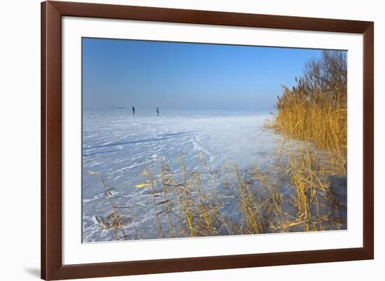 Europe, Germany, Steinhude, Steinhuder Meer, Ice Cover, Reed, Winter-Chris Seba-Framed Photographic Print