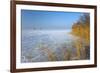 Europe, Germany, Steinhude, Steinhuder Meer, Ice Cover, Reed, Winter-Chris Seba-Framed Photographic Print