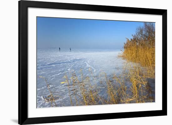 Europe, Germany, Steinhude, Steinhuder Meer, Ice Cover, Reed, Winter-Chris Seba-Framed Photographic Print