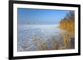 Europe, Germany, Steinhude, Steinhuder Meer, Ice Cover, Reed, Winter-Chris Seba-Framed Photographic Print