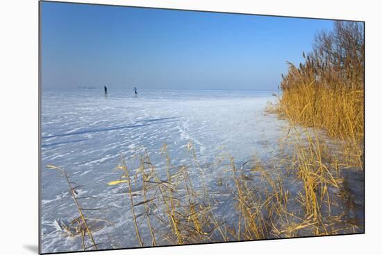 Europe, Germany, Steinhude, Steinhuder Meer, Ice Cover, Reed, Winter-Chris Seba-Mounted Photographic Print