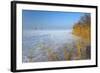 Europe, Germany, Steinhude, Steinhuder Meer, Ice Cover, Reed, Winter-Chris Seba-Framed Photographic Print