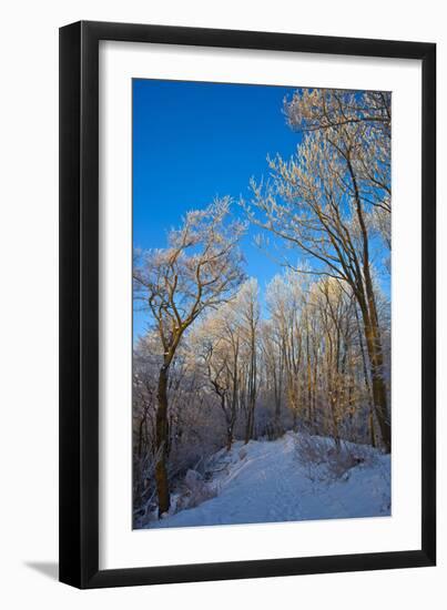 Europe, Germany, Weser Hills, Porta Westfalica, Winter Landscape, Forest Path-Chris Seba-Framed Photographic Print