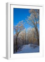 Europe, Germany, Weser Hills, Porta Westfalica, Winter Landscape, Forest Path-Chris Seba-Framed Photographic Print