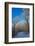 Europe, Germany, Weser Hills, Porta Westfalica, Winter Landscape, Forest Path-Chris Seba-Framed Photographic Print