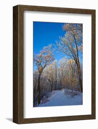 Europe, Germany, Weser Hills, Porta Westfalica, Winter Landscape, Forest Path-Chris Seba-Framed Photographic Print