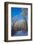 Europe, Germany, Weser Hills, Porta Westfalica, Winter Landscape, Forest Path-Chris Seba-Framed Photographic Print