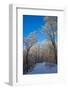 Europe, Germany, Weser Hills, Porta Westfalica, Winter Landscape, Forest Path-Chris Seba-Framed Photographic Print