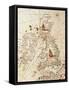 Europe: Great Britain and Ireland, from Atlas of the World in Thirty-Three Maps, 1553-Battista Agnese-Framed Stretched Canvas