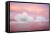 Europe, Iceland, Jokulsarlon Glacier Lagoon. Sunset on Beached Icebergs-Jaynes Gallery-Framed Stretched Canvas