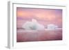 Europe, Iceland, Jokulsarlon Glacier Lagoon. Sunset on Beached Icebergs-Jaynes Gallery-Framed Photographic Print