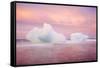 Europe, Iceland, Jokulsarlon Glacier Lagoon. Sunset on Beached Icebergs-Jaynes Gallery-Framed Stretched Canvas