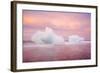 Europe, Iceland, Jokulsarlon Glacier Lagoon. Sunset on Beached Icebergs-Jaynes Gallery-Framed Photographic Print