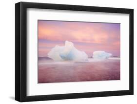 Europe, Iceland, Jokulsarlon Glacier Lagoon. Sunset on Beached Icebergs-Jaynes Gallery-Framed Photographic Print