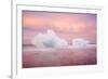 Europe, Iceland, Jokulsarlon Glacier Lagoon. Sunset on Beached Icebergs-Jaynes Gallery-Framed Photographic Print