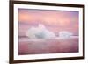 Europe, Iceland, Jokulsarlon Glacier Lagoon. Sunset on Beached Icebergs-Jaynes Gallery-Framed Photographic Print