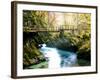 Europe in Fall-Dan Ballard-Framed Photographic Print