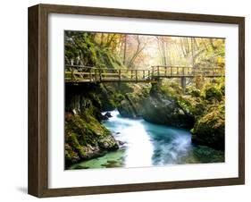 Europe in Fall-Dan Ballard-Framed Photographic Print