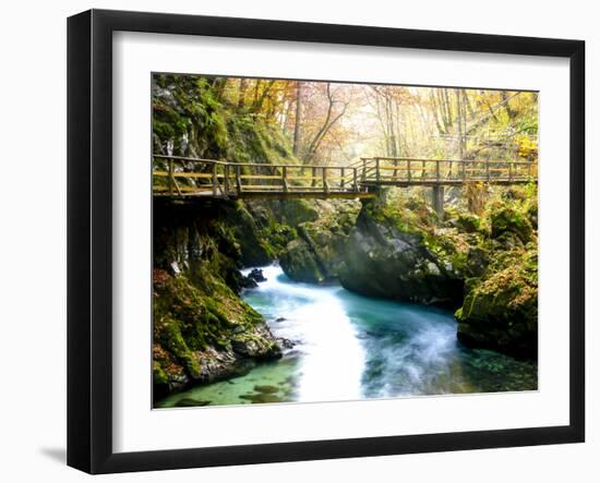 Europe in Fall-Dan Ballard-Framed Photographic Print