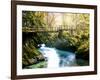 Europe in Fall-Dan Ballard-Framed Photographic Print