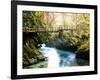 Europe in Fall-Dan Ballard-Framed Photographic Print