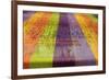 Europe, Ireland, Avoca. Avoca Handweavers Mill, County Wicklow. Colorful Wool Yarns.-Kymri Wilt-Framed Photographic Print