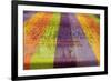 Europe, Ireland, Avoca. Avoca Handweavers Mill, County Wicklow. Colorful Wool Yarns.-Kymri Wilt-Framed Photographic Print