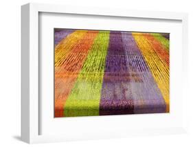 Europe, Ireland, Avoca. Avoca Handweavers Mill, County Wicklow. Colorful Wool Yarns.-Kymri Wilt-Framed Photographic Print